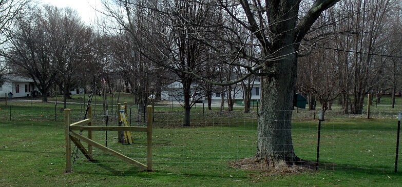 Wood Fence Corner